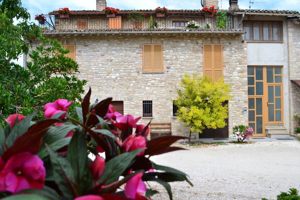 I Monelli Guest house Assisi