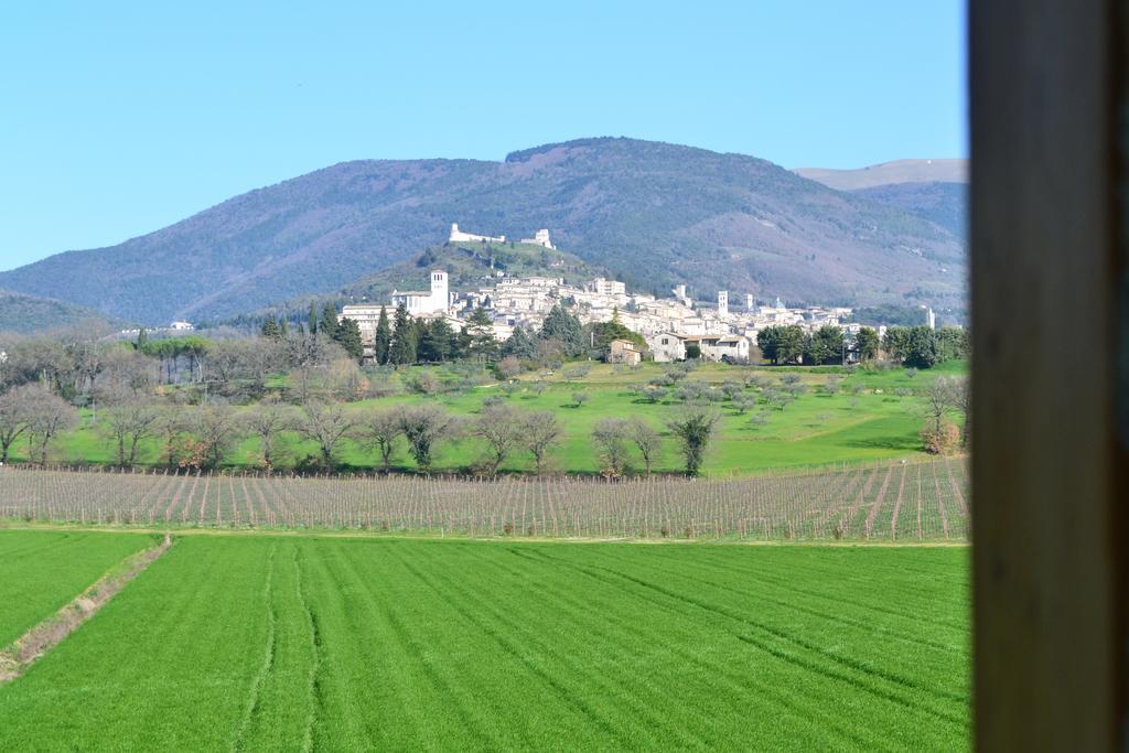 Guest house I Monelli Assisi