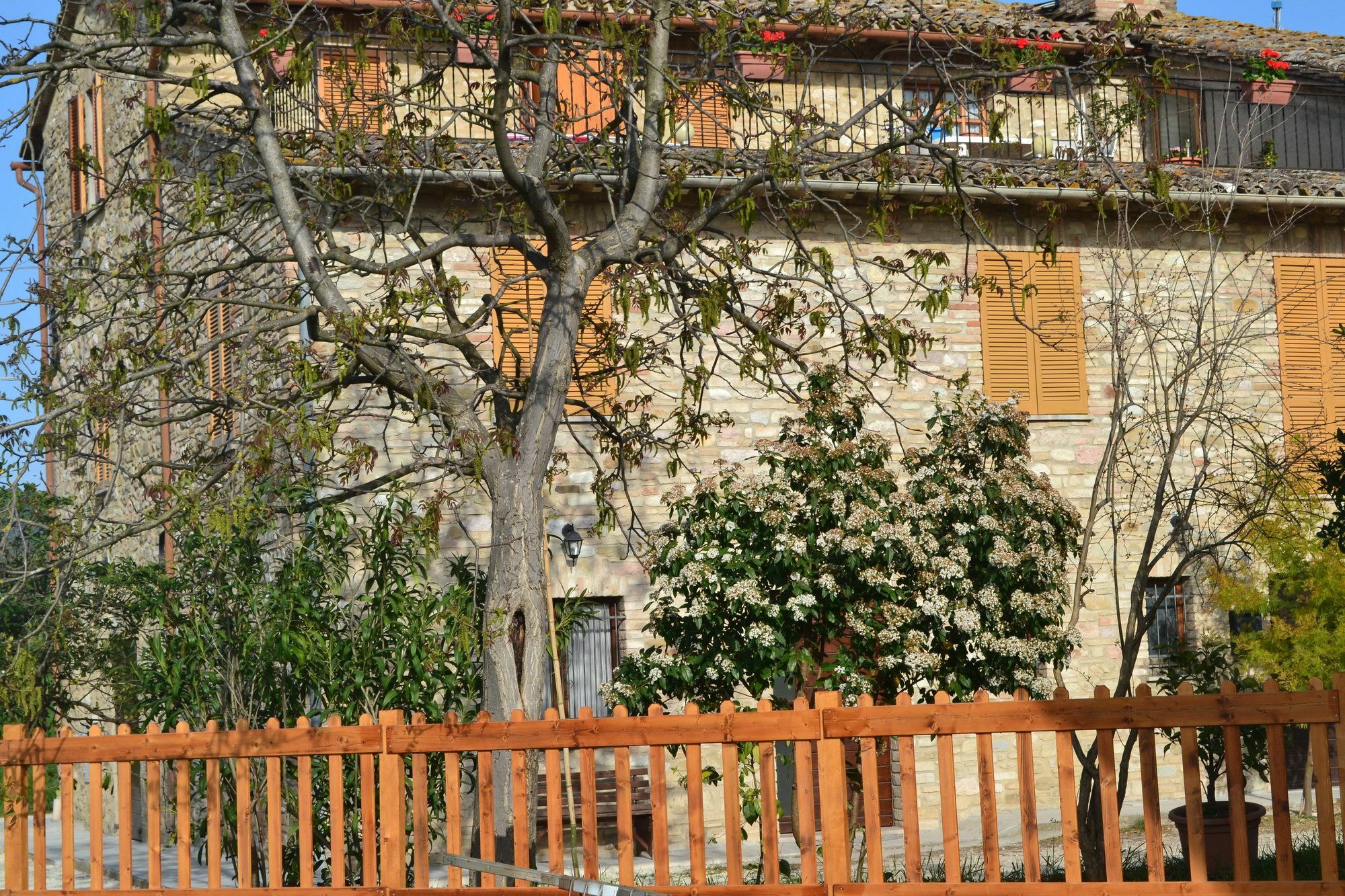 Guest house I Monelli 2*