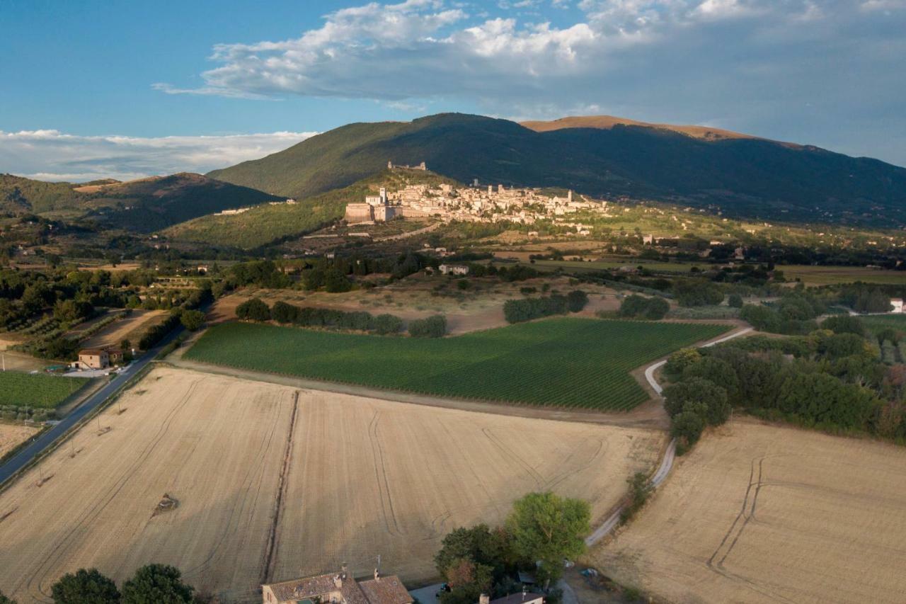 I Monelli